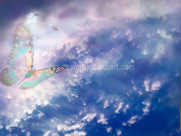 Flight