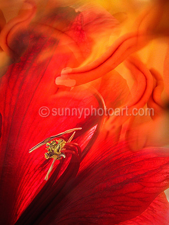 Floral Fantasia No. 5