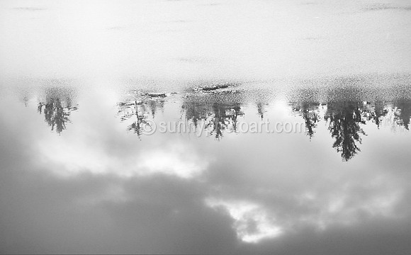 January Pond