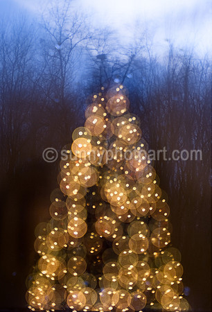 Holiday Trees