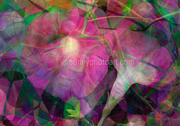Greetings in the Morning