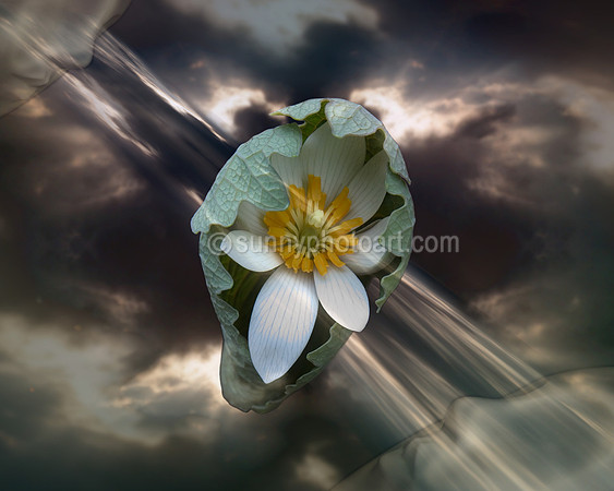 Unfolding of Life