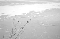 By the Frozen Stream