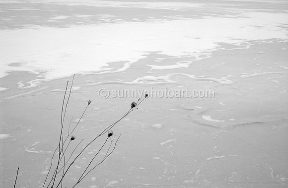 By the Frozen Stream