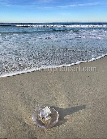 Beach Story No .7