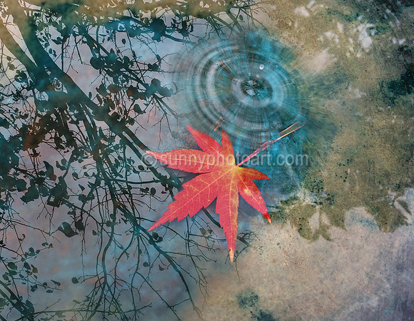 Fall
