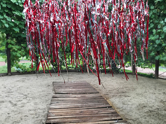 Wishing Tree