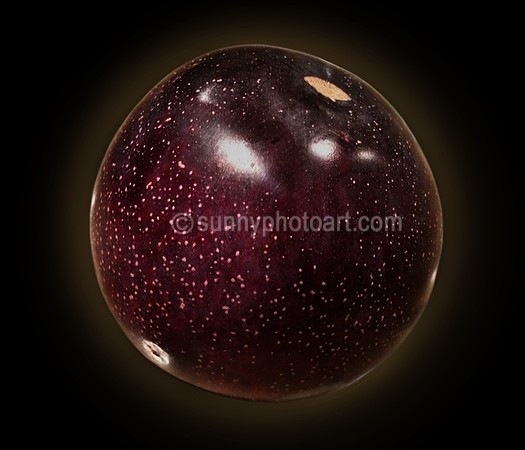 Edible Universe
