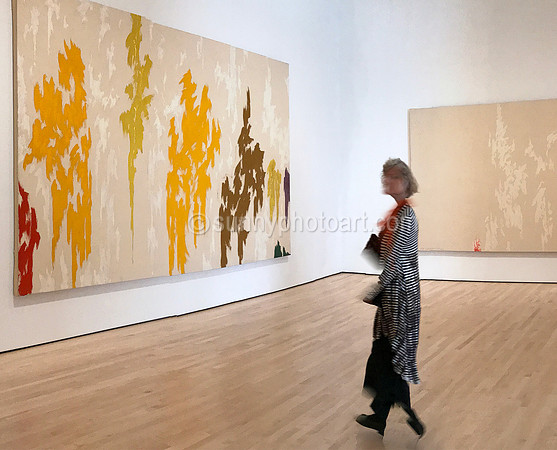 SF MoMA Still