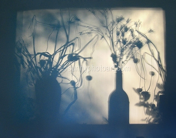 Still Life No. 3