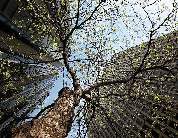 Springtime