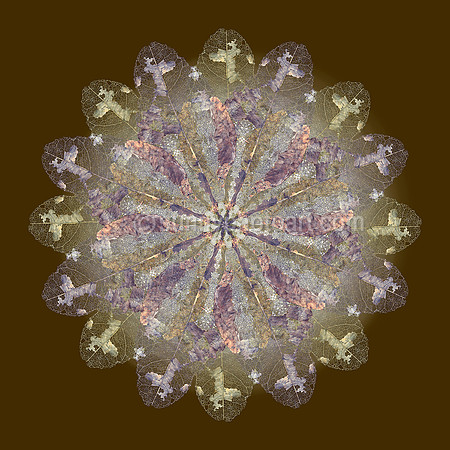 Plate 149