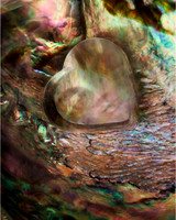 Iridescent Ever