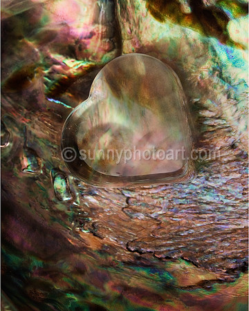 Iridescent Ever