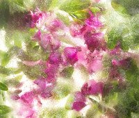 Floral Study No. 11