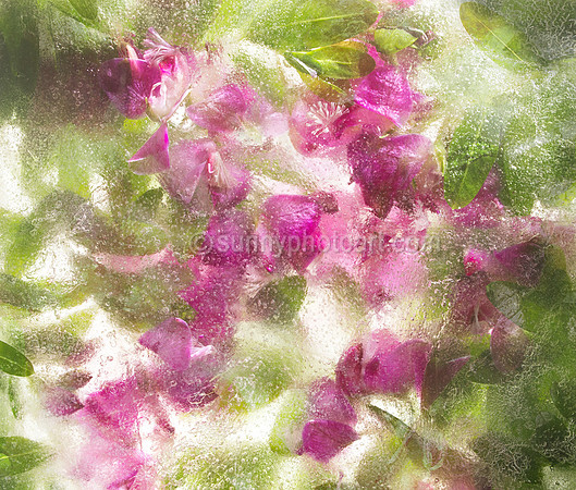 Floral Study No. 11