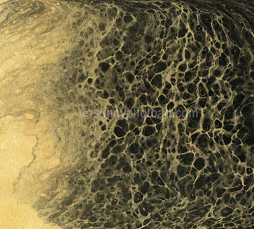 Way of Flow - Study No 13