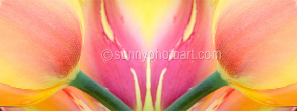 Joy of Spring