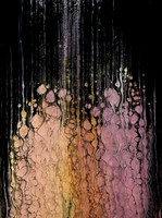 Way of Flow - Study No 23