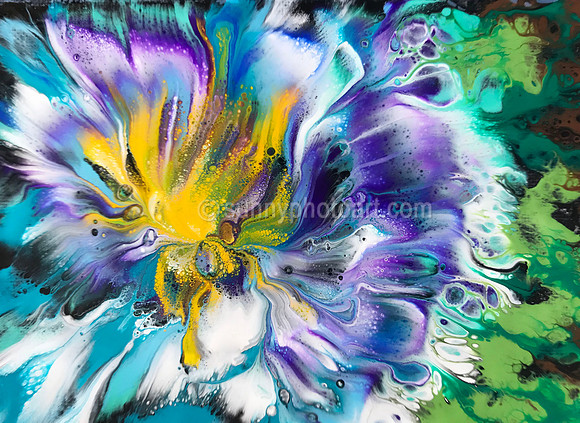 Flow~er   No 47