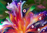 Flow~er    No 51