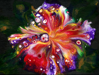 Flow~er   No  53