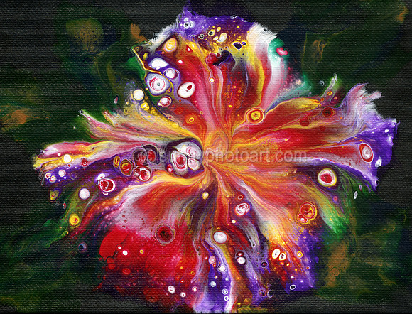 Flow~er   No  53