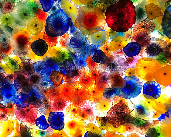 “Fiori di Como" - detail -Chihuly Glass Sculpture at Bellagio, Las Vegas, NV