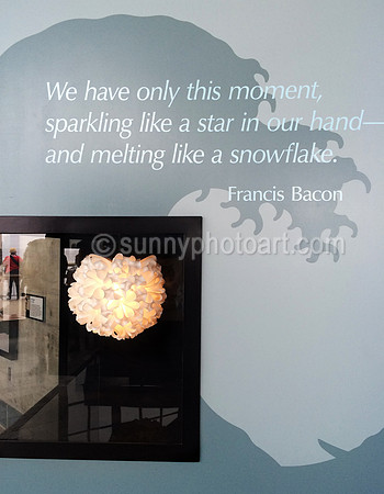 Wall at Monterey Aquarium 2015, Monterey, CA
