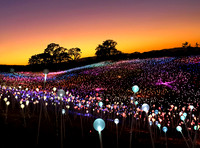 Field of Light  No 2 @ Sensorio 2019, Paso Robles, CA