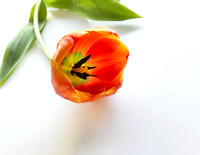 For You