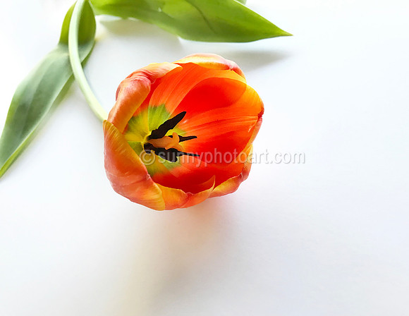 For You