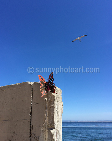 Near Cannery Row, Monterey, CA