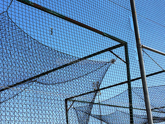 Safety Net