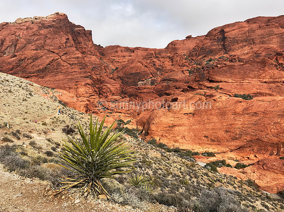 Red Rock Canyon  No 3, NV