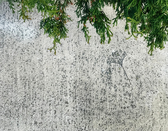 Street Study No 3
