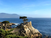 Lone Cypress, Pebble Beach, CA