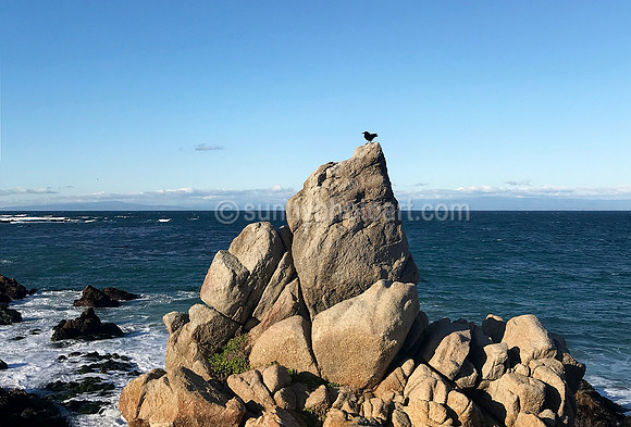 Monterey Bay No 5, Monterey, CA