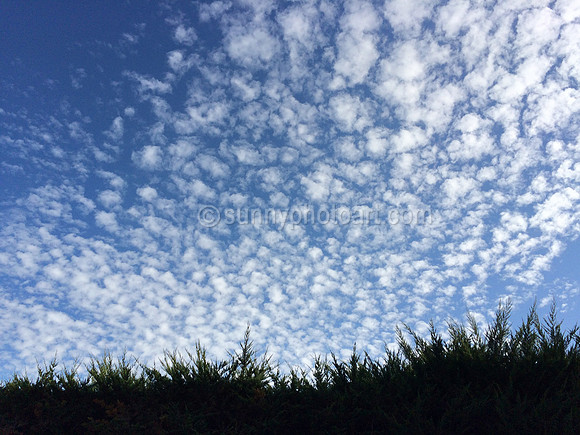 Mackeral Sky