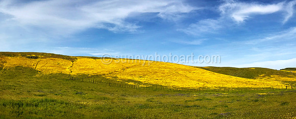 Spring Hill in California