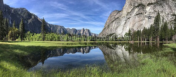 Yosemite Meadow