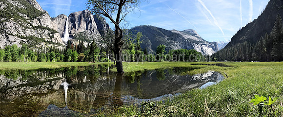 Yosemite No 5