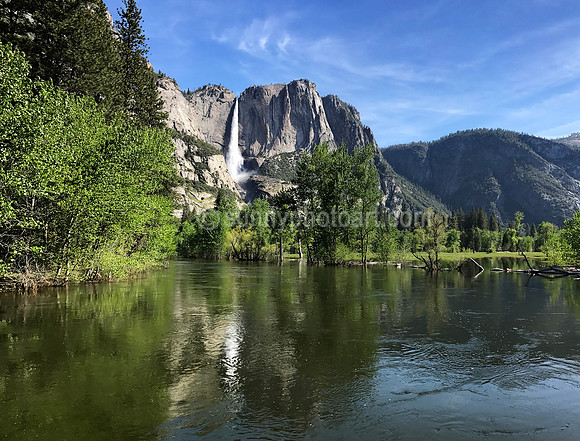 Yosemite No 8