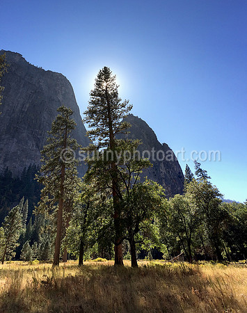 Yosemite No 9