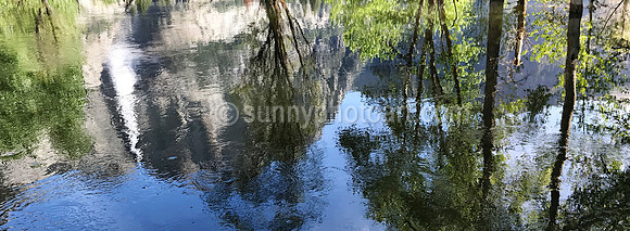 Yosemite No 10