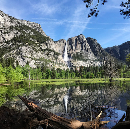 Yosemite  No 7
