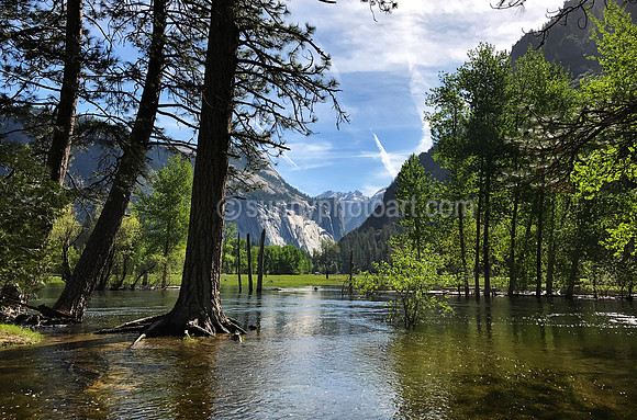 Yosemite Spring Flood
