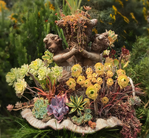 Potting Putti