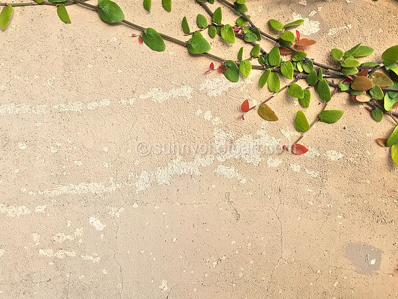 Leaving Footprints