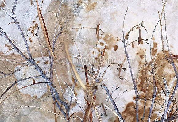 Painterly